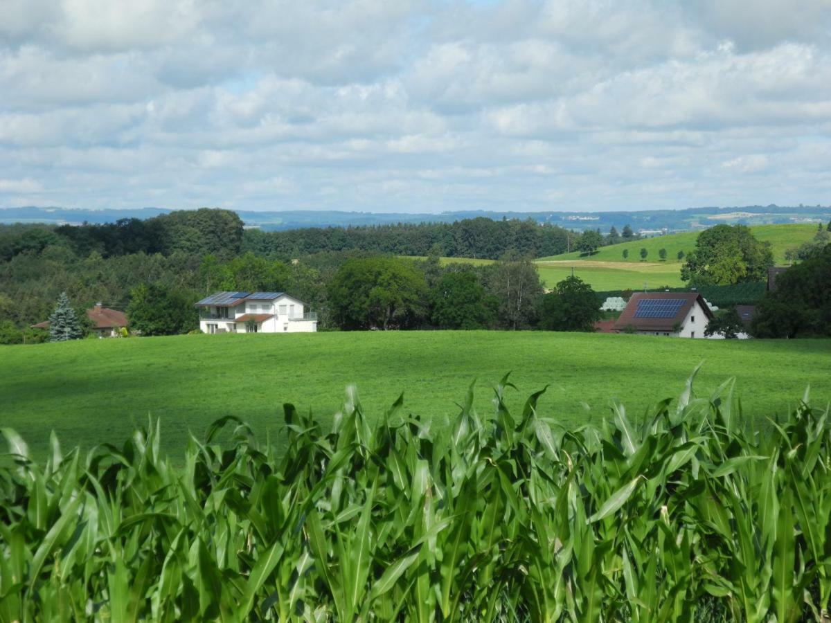 Katzheim * Schlier